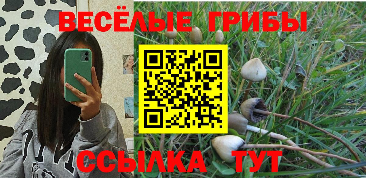 Галлюциногенные грибы Psilocybe  купить наркотики сайты  Славянск-на-Кубани  Вход с VPN 