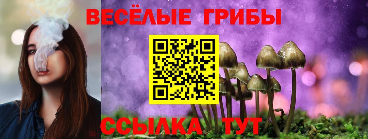 Галлюциногенные грибы мухоморы Славянск-на-Кубани